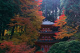 岩船寺