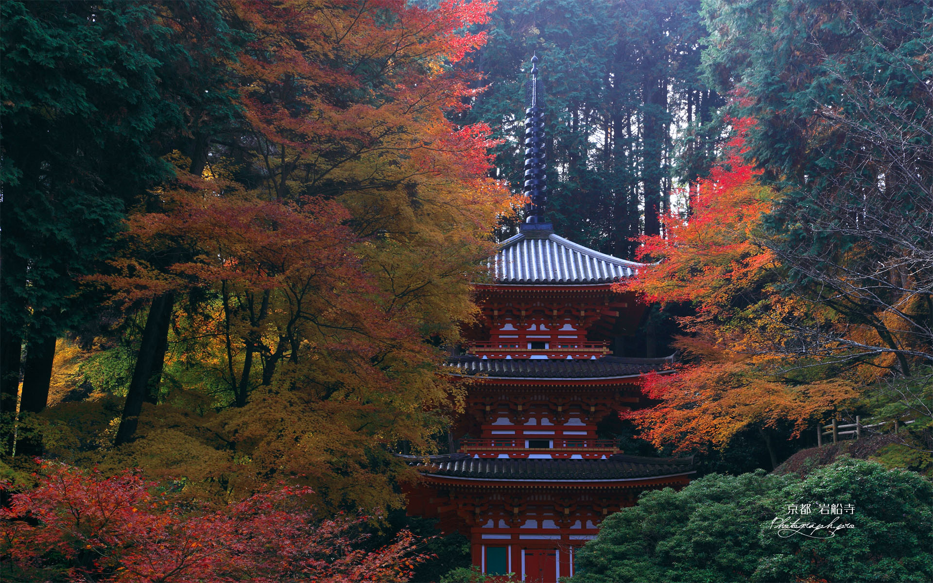 岩船寺本堂前からの三重塔