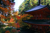 岩船寺本堂前からの三重塔