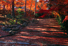 正法寺