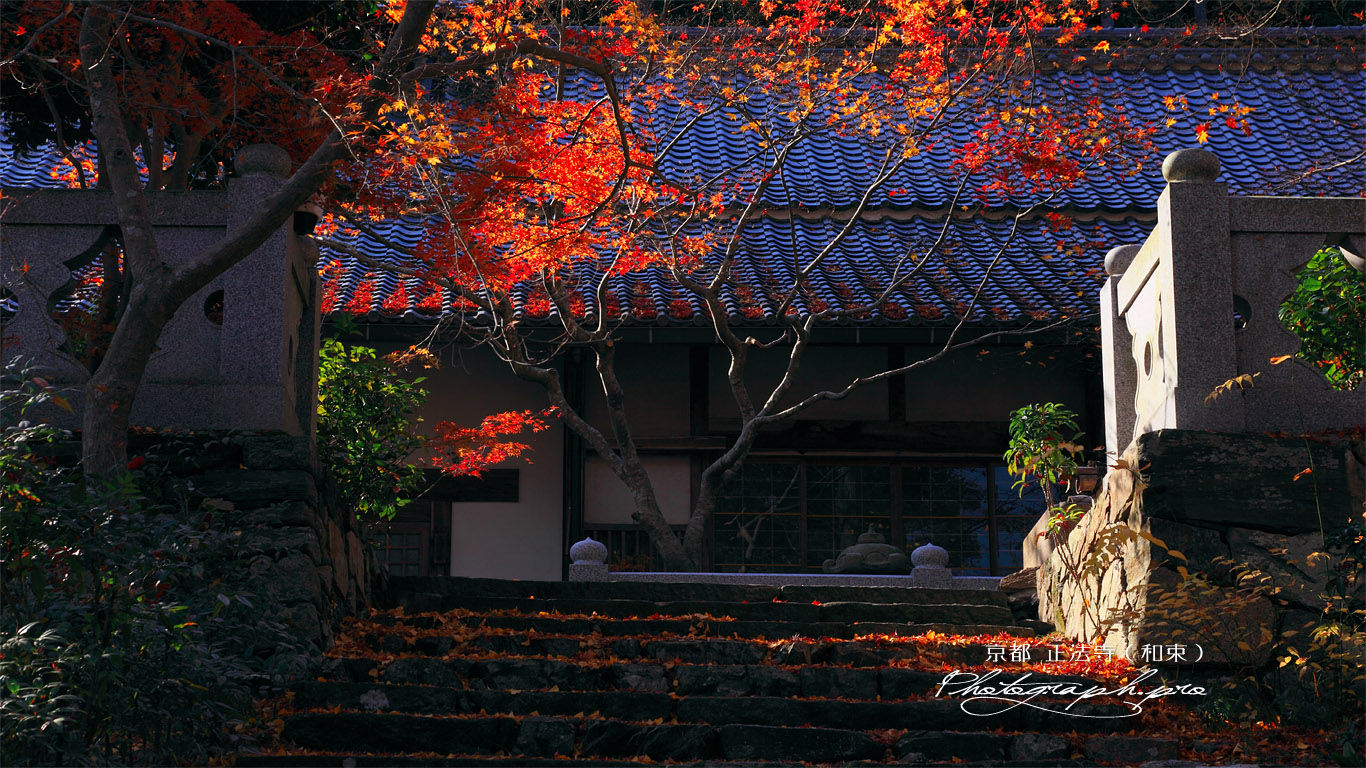 正法寺（和束） 紅葉と書院 壁紙