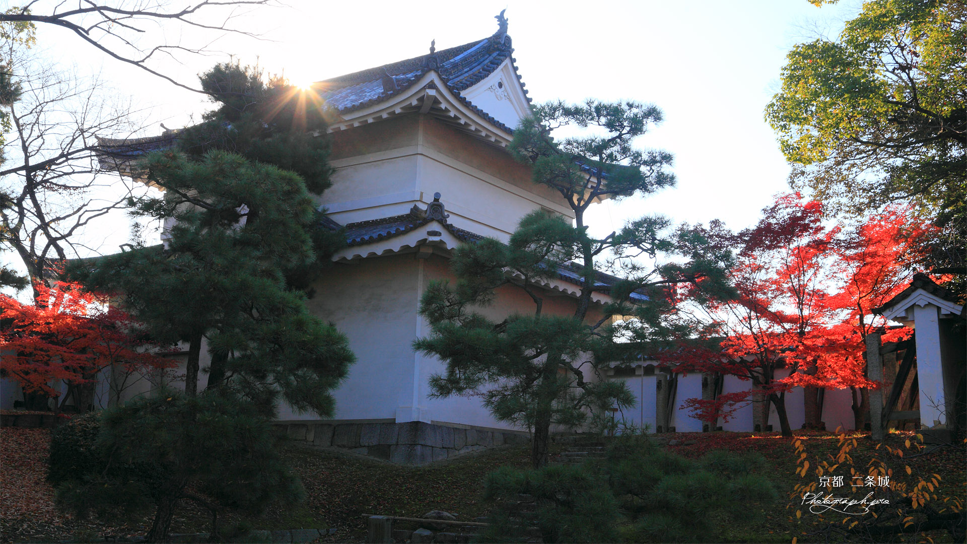 二条城東南隅櫓と紅葉