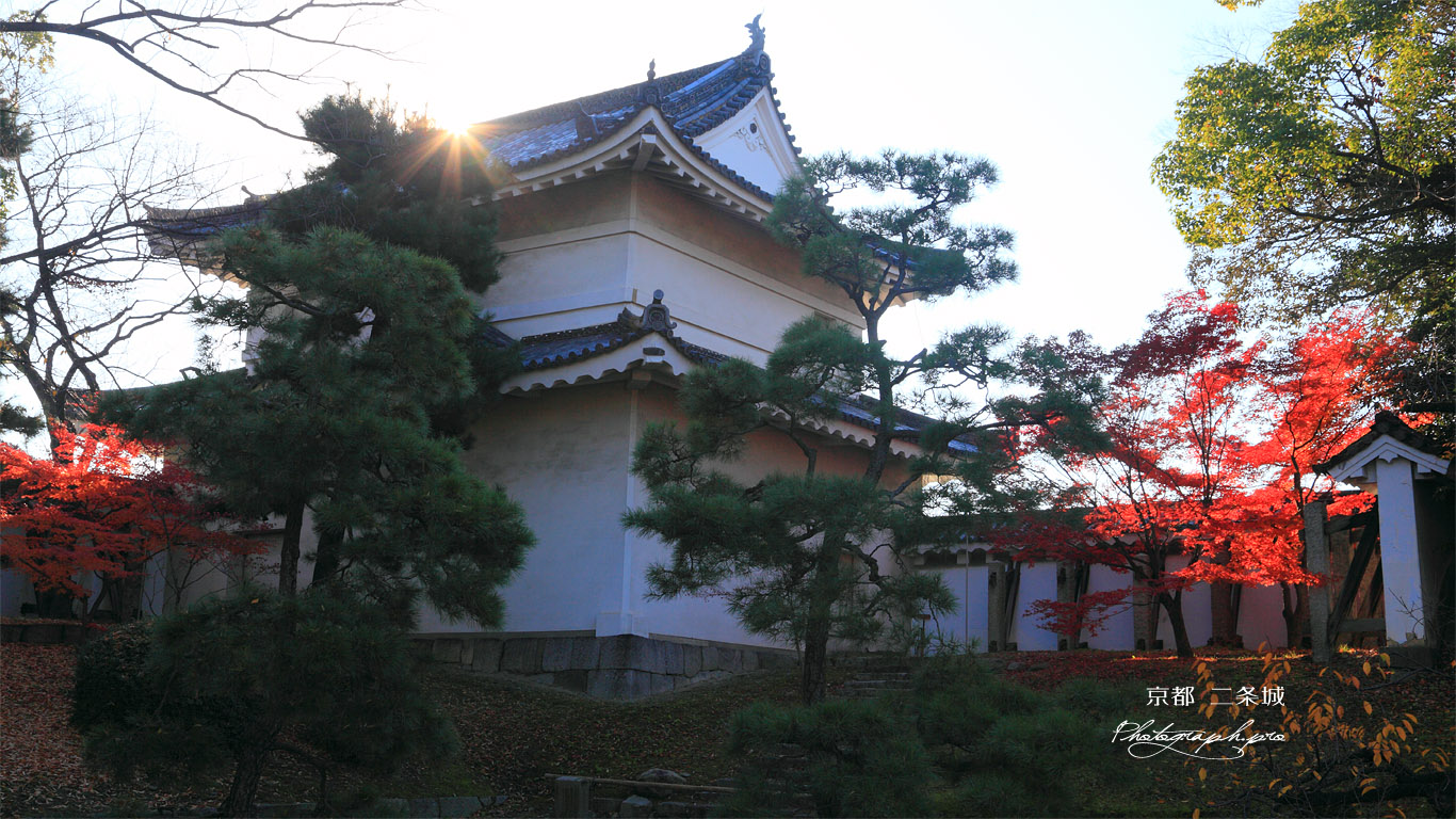 二条城東南隅櫓と紅葉 壁紙