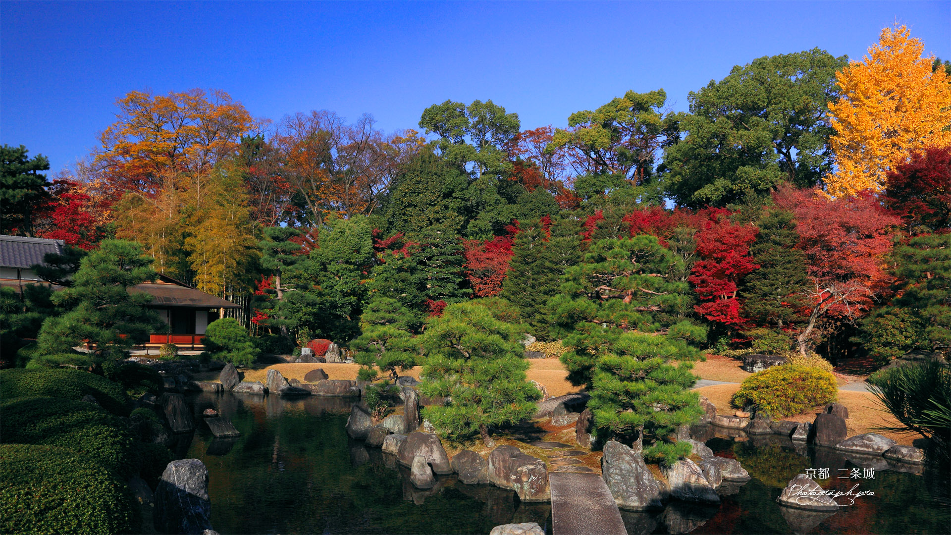 二条城清流園の紅葉