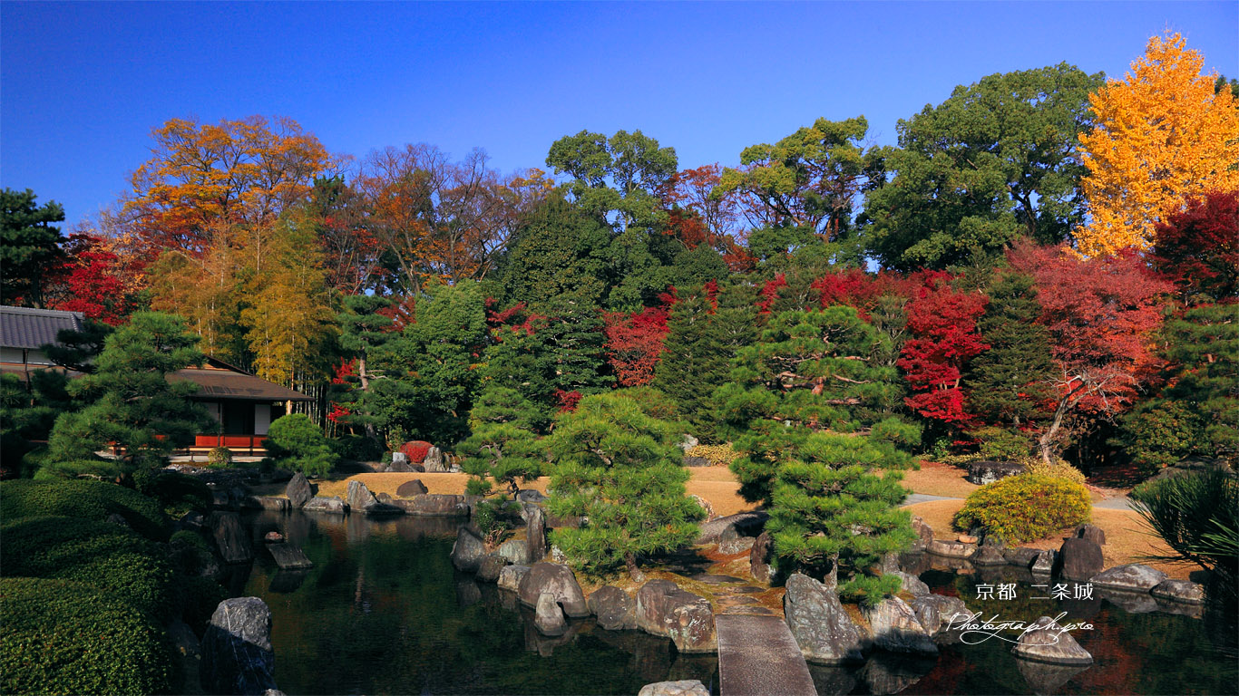 二条城清流園の紅葉 壁紙