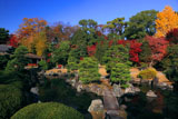 二条城清流園の紅葉