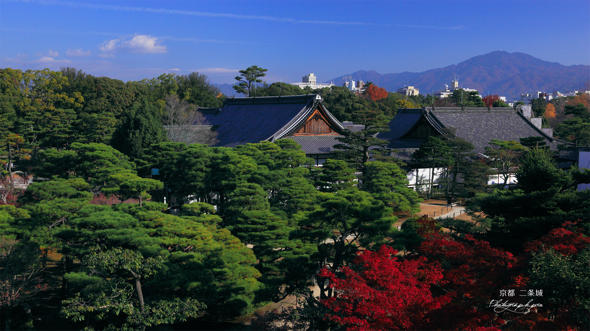 二条城 紅葉の本丸御殿