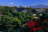 二条城 紅葉の本丸御殿