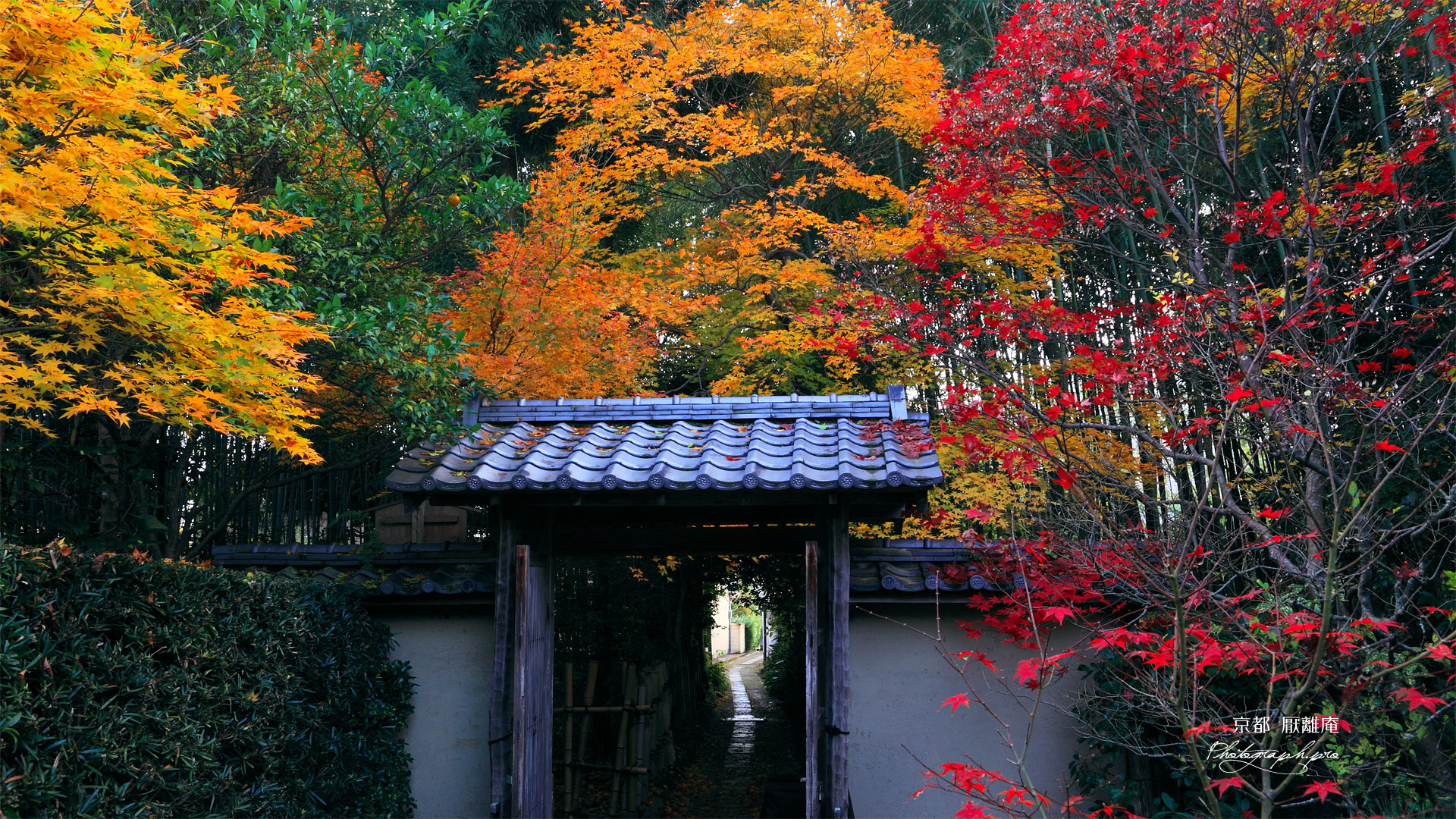 京都厭離庵 紅葉の山門