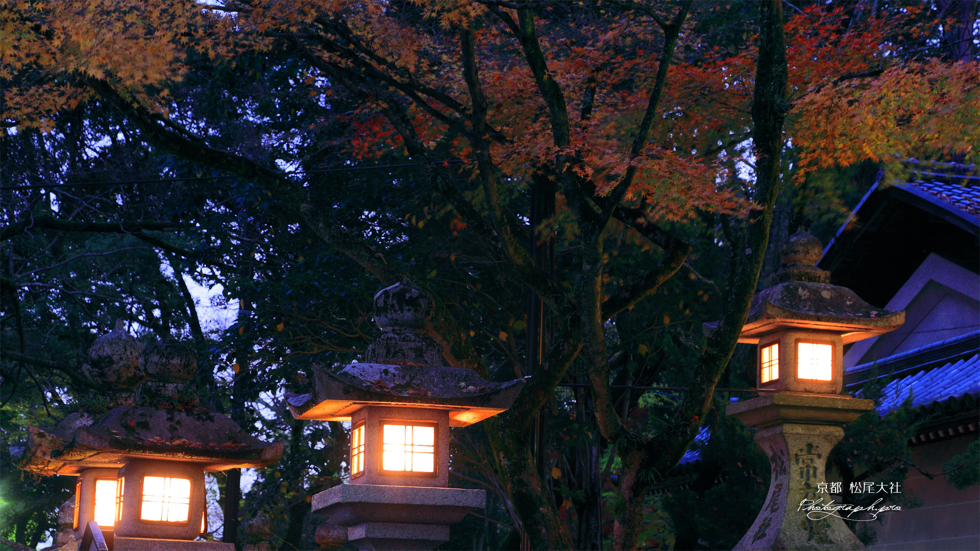 松尾大社 常夜燈と紅葉
