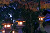 松尾大社 常夜燈と紅葉