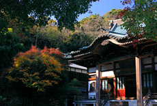妙傳寺