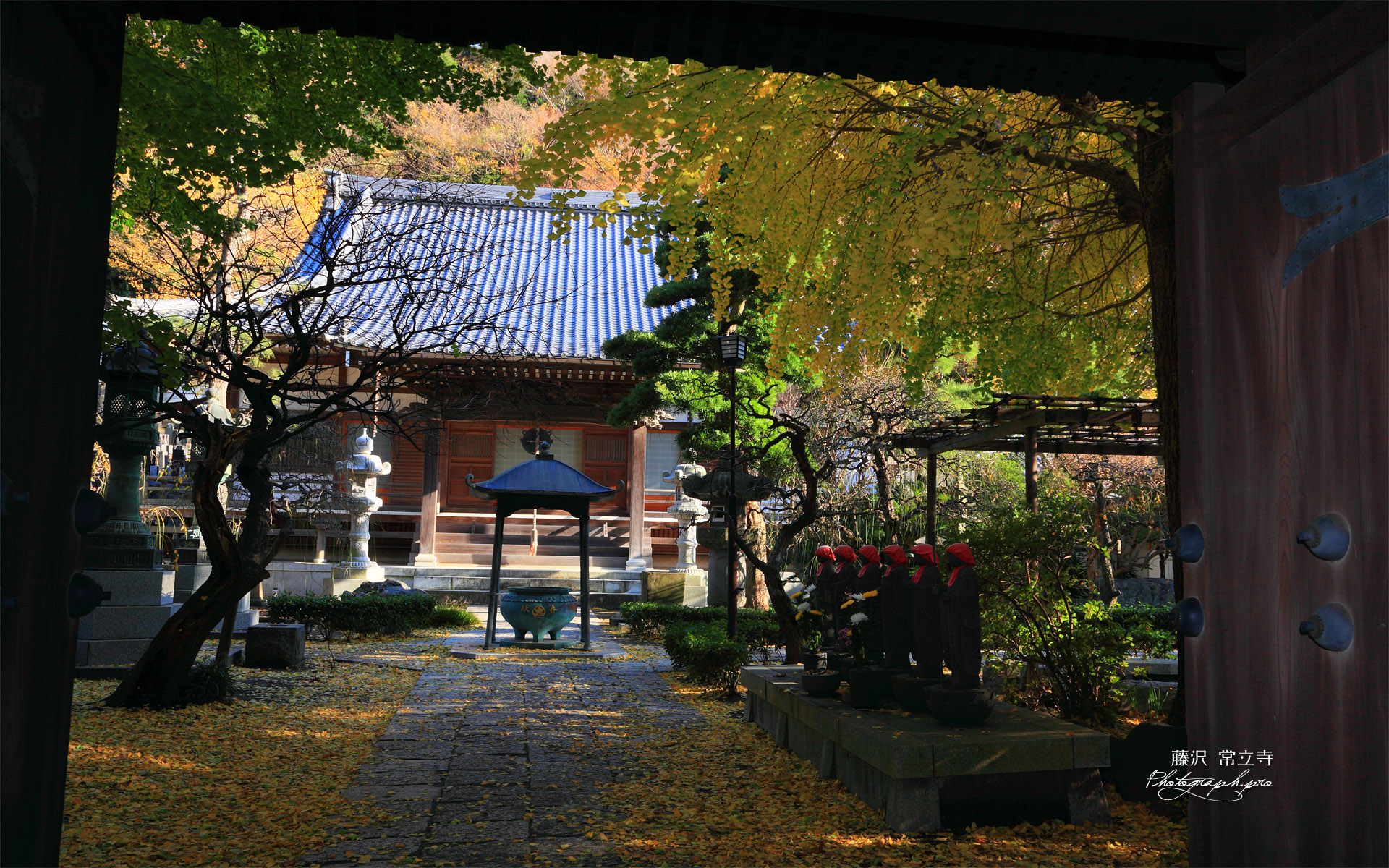 藤沢常立寺 山門越しに黄葉の境内