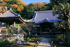 本蓮寺