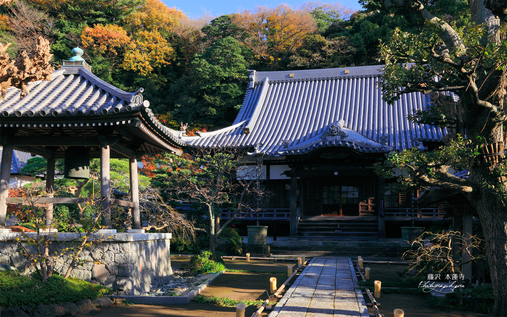 本蓮寺 鐘楼と本堂