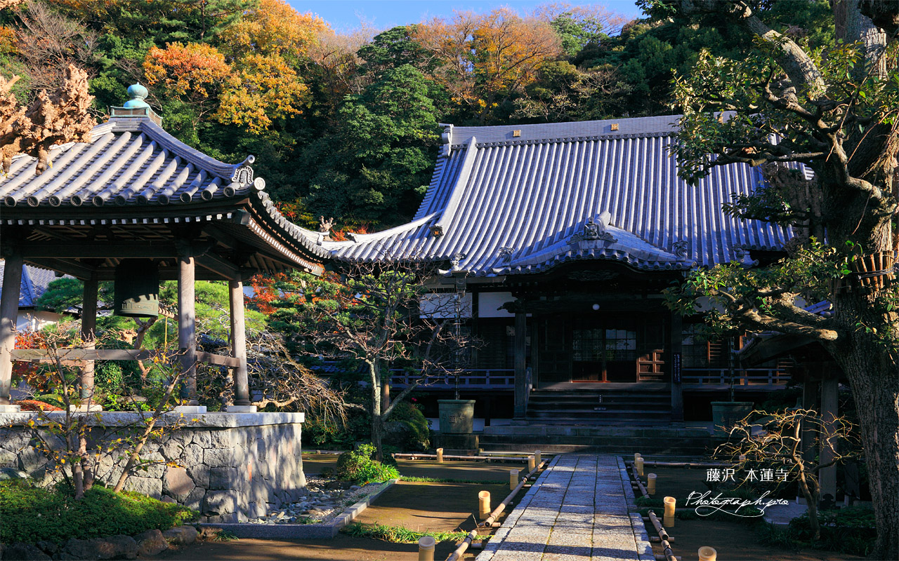 本蓮寺 鐘楼と本堂 壁紙