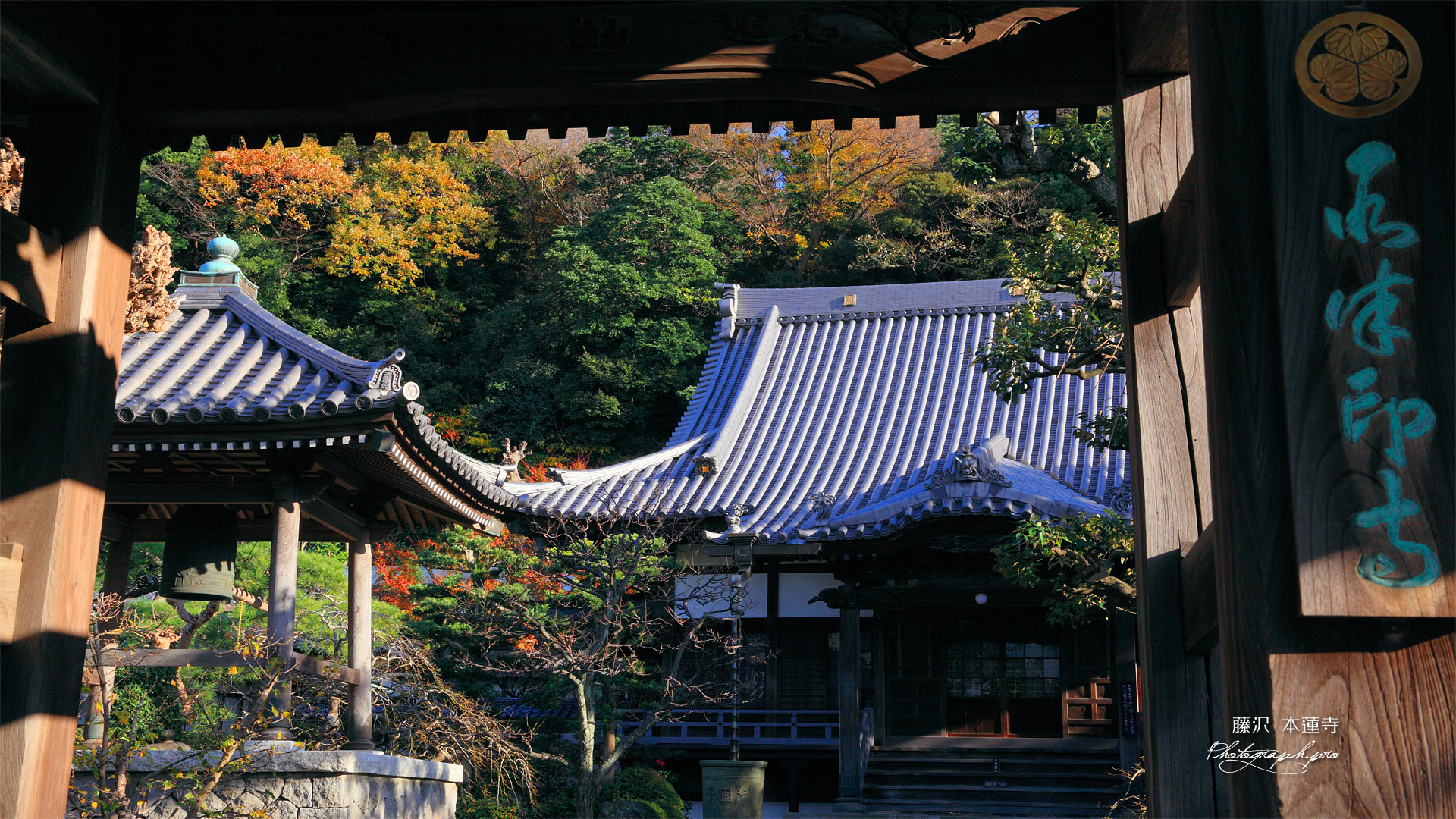 本蓮寺 山門越しの本堂