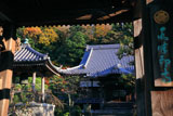 本蓮寺 山門越しの本堂