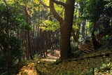 山崎