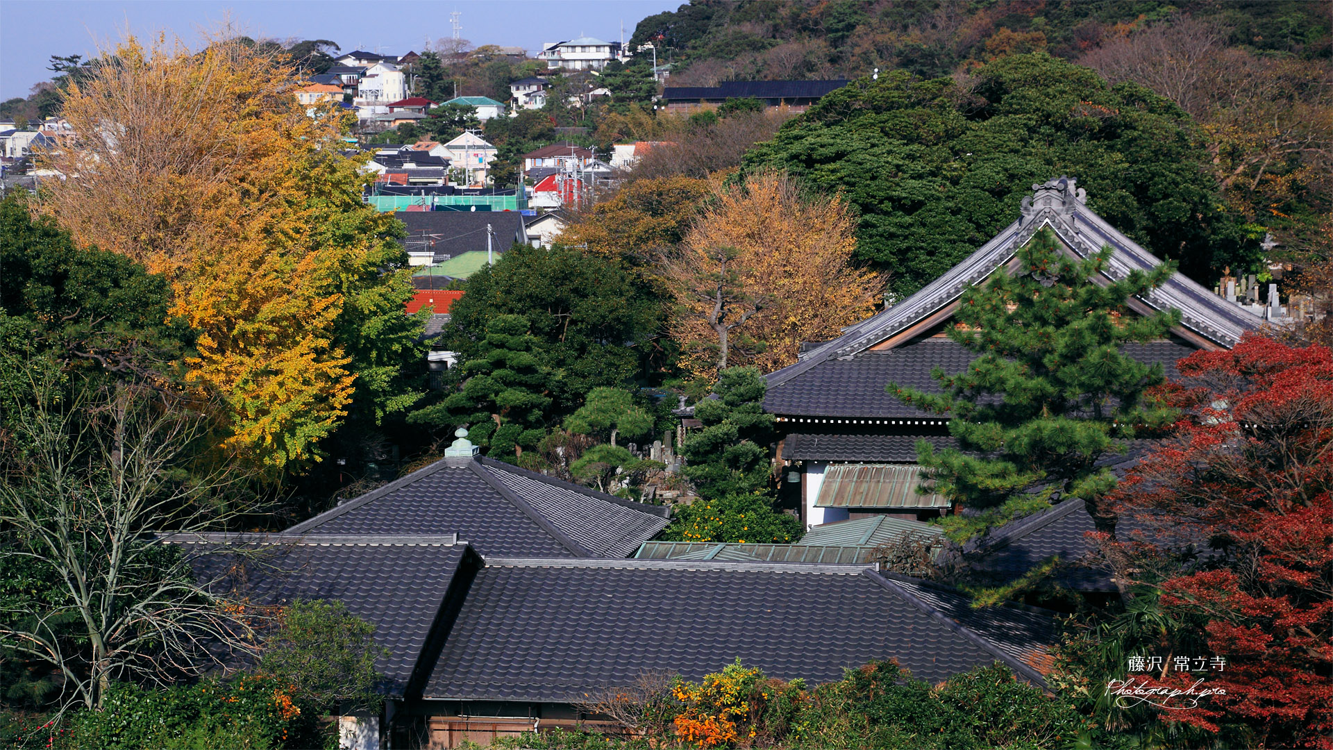 紅葉の藤沢常立寺
