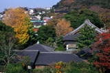 紅葉の藤沢常立寺