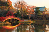 称名寺 紅葉の浄土式庭園
