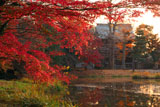 称名寺 紅葉と仁王門