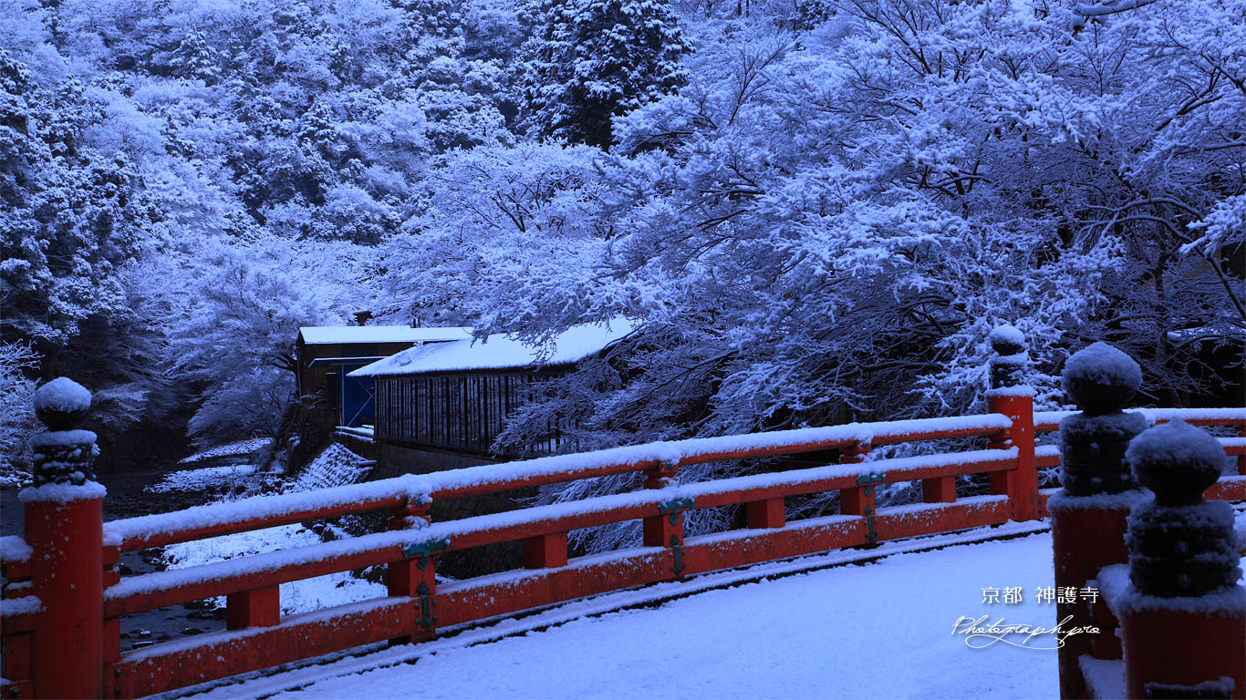 雪の高雄橋 壁紙