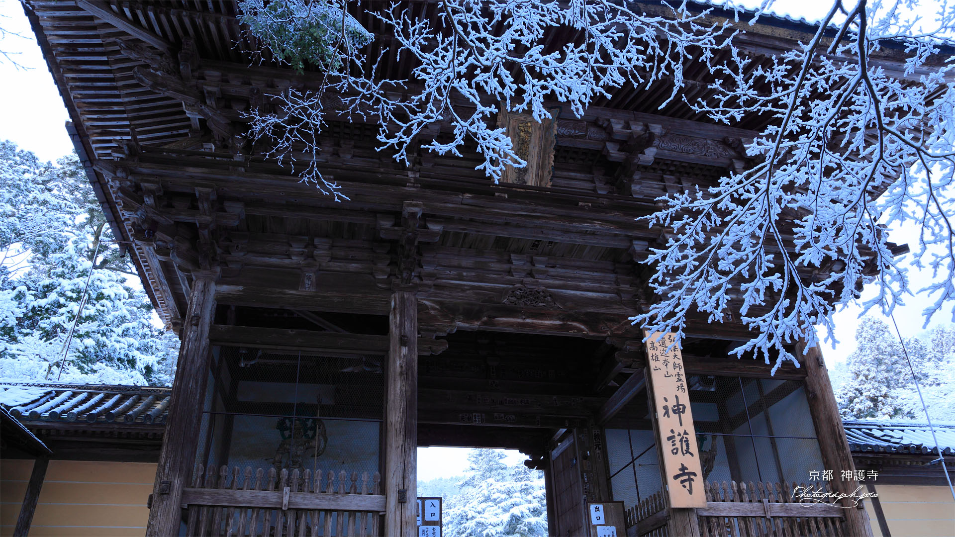 雪の華と神護寺山門