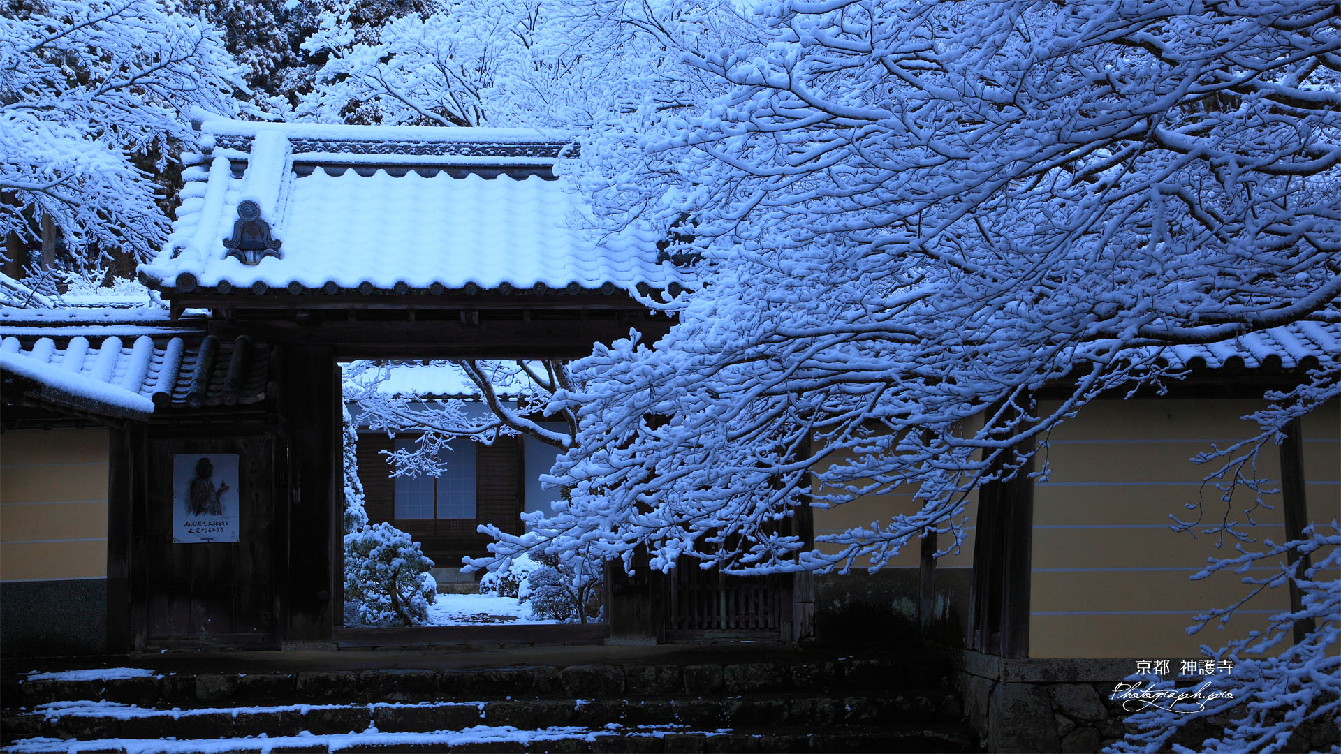 雪の神護寺本坊