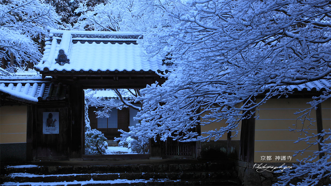 雪の神護寺本坊 壁紙