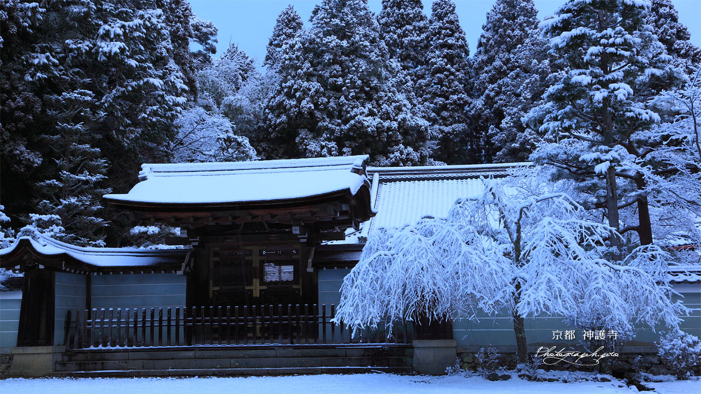 雪の神護寺書院 壁紙