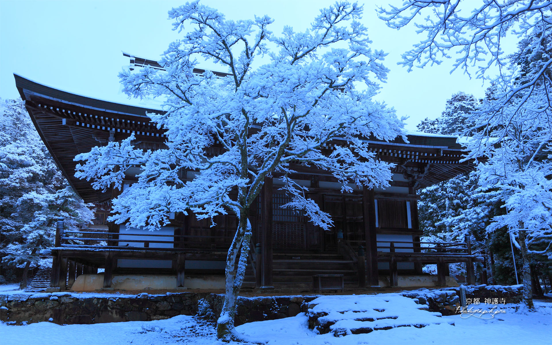 雪の神護寺毘沙門堂