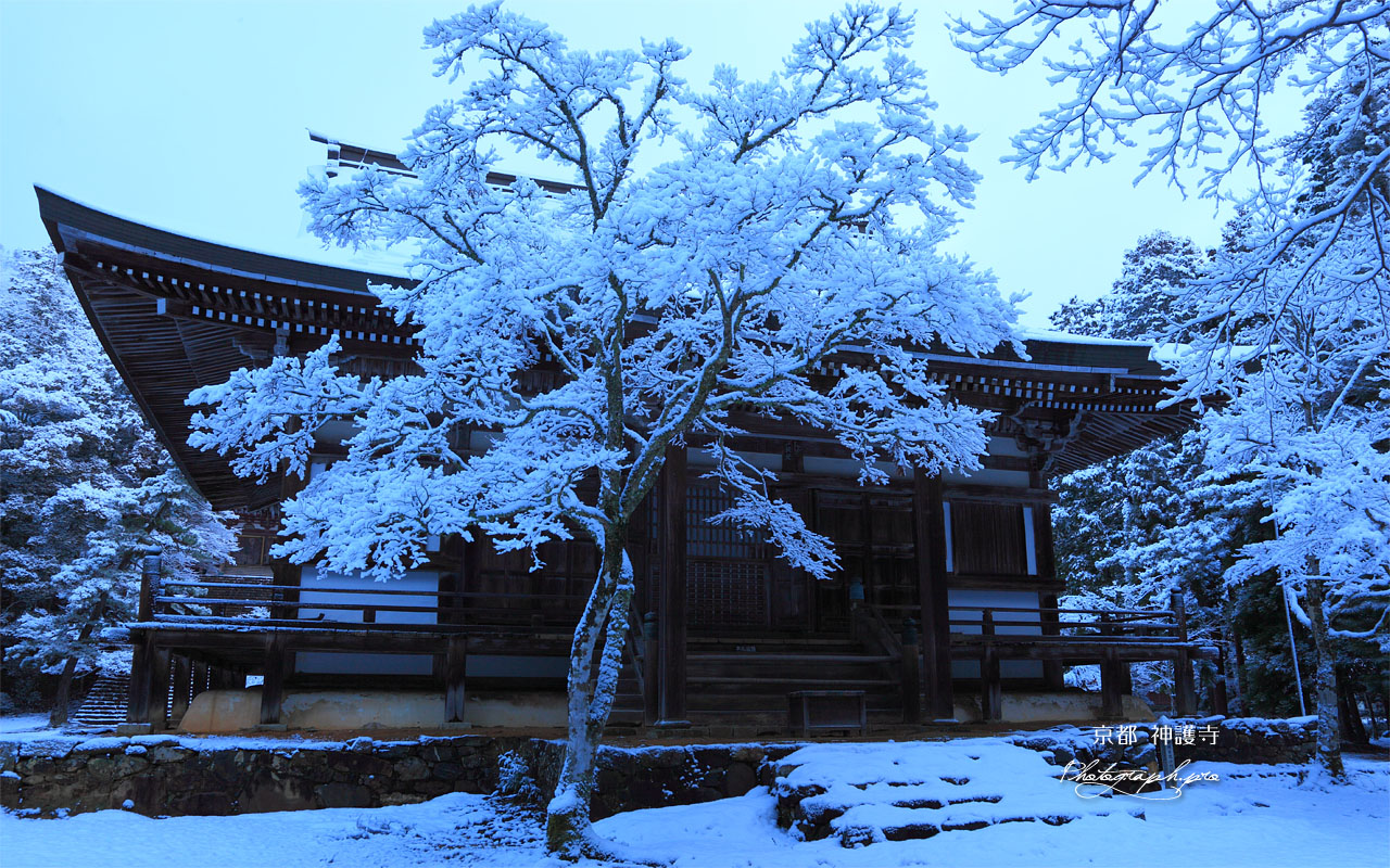 雪の神護寺毘沙門堂 壁紙