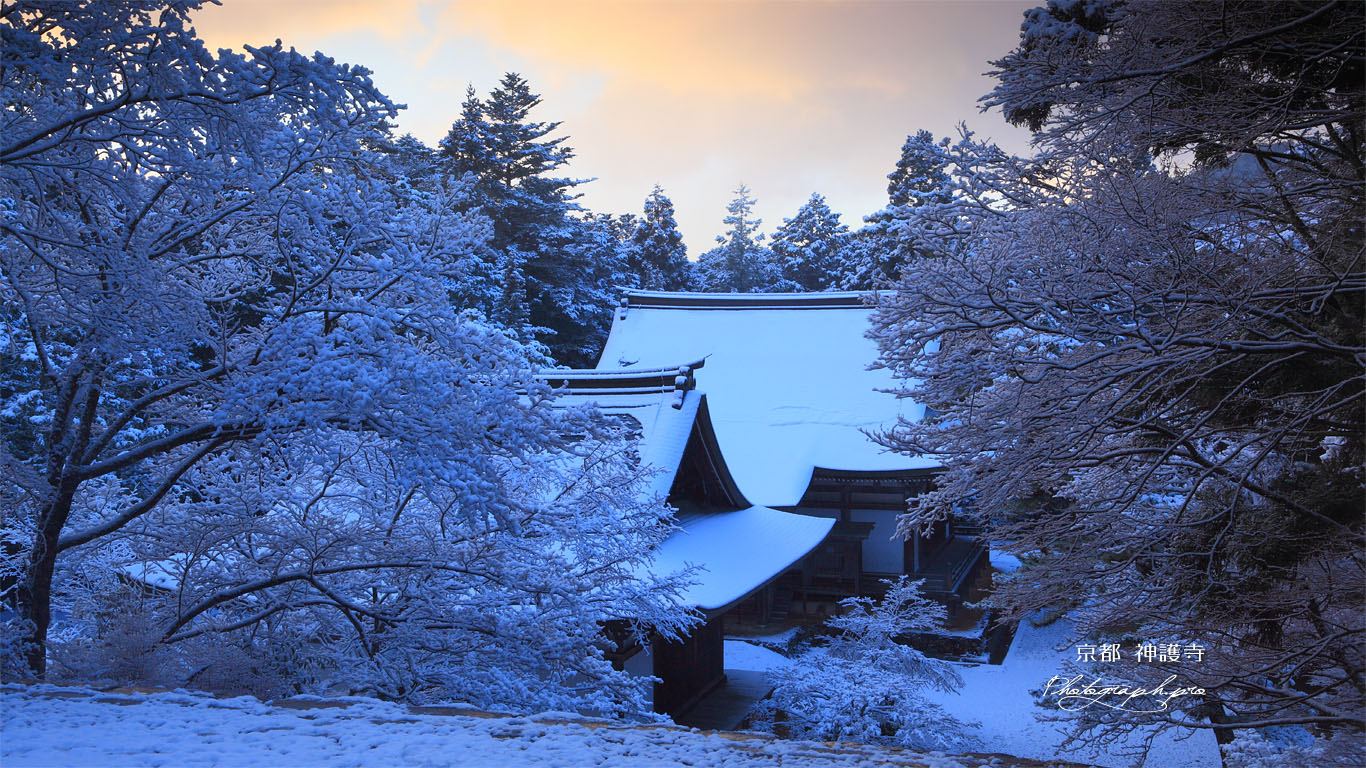 神護寺 雪の五大堂と毘沙門堂 壁紙