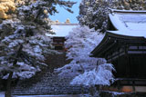 雪化粧の高雄紅葉