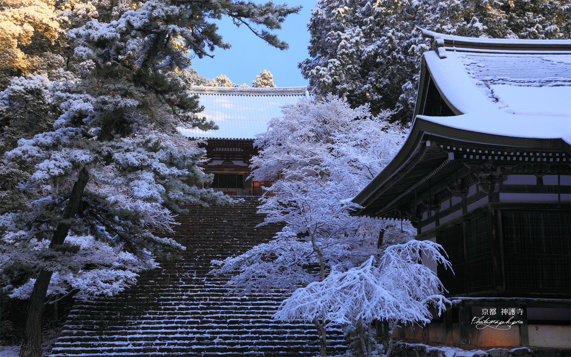 雪化粧の高雄紅葉