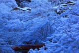 梅ケ畑 雪の花と指月橋