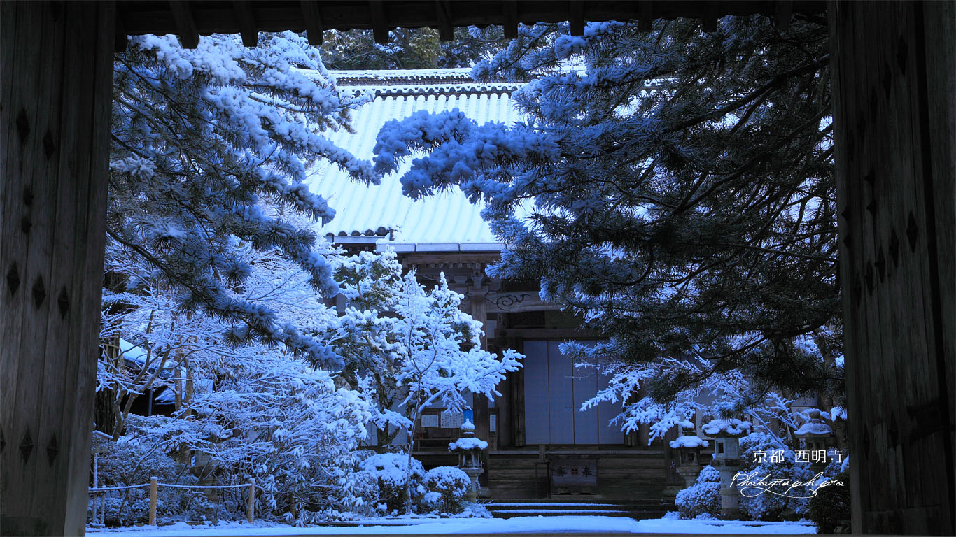 西明寺山門越しの雪の境内 壁紙