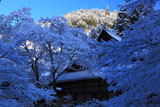 雪の西明寺客殿