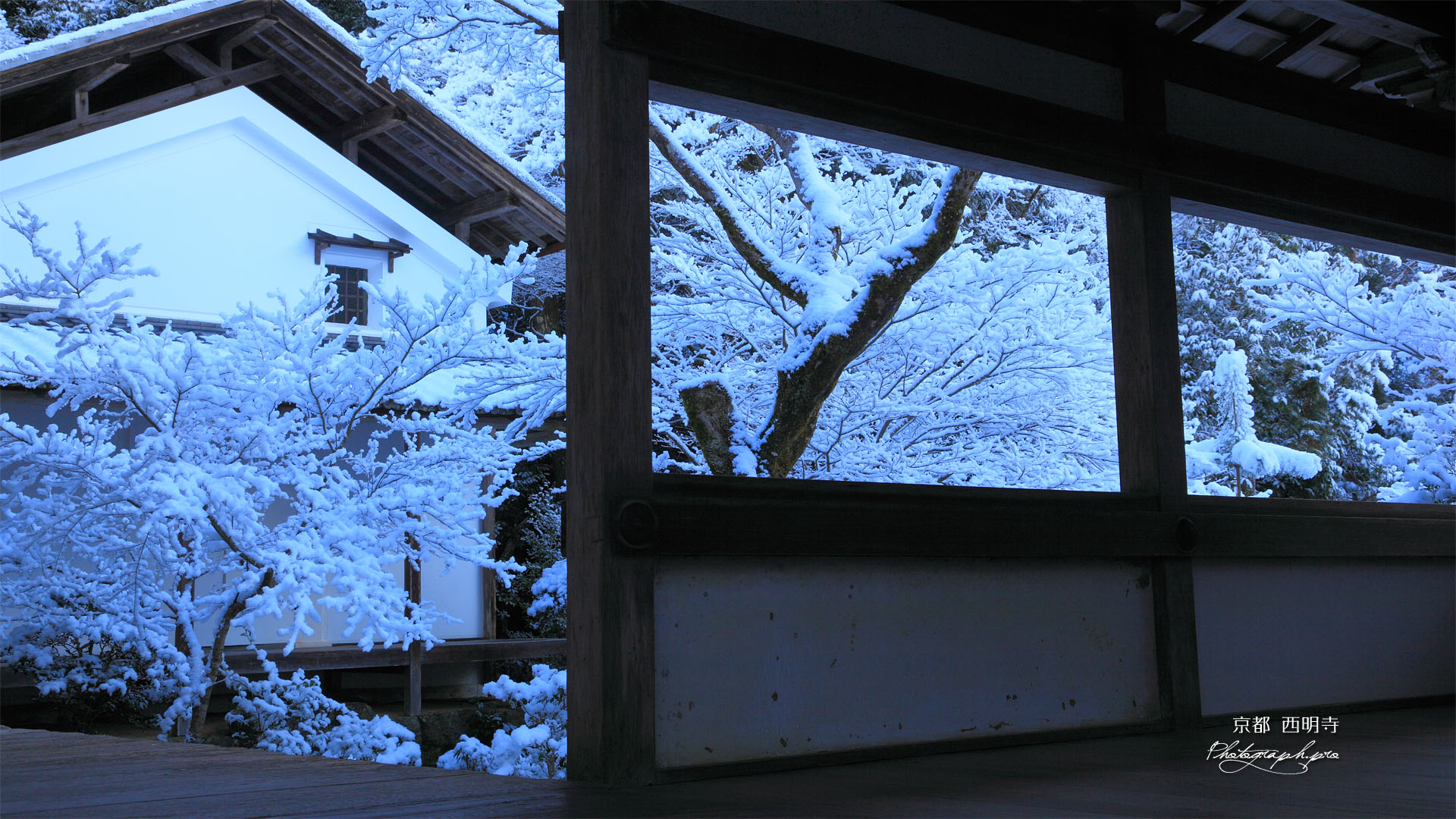 渡廊越しの雪の西明寺庭園