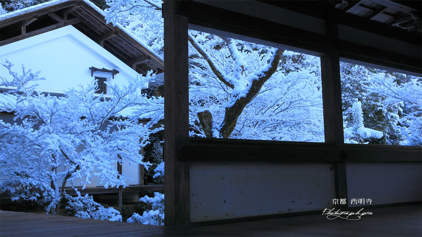 渡廊越しの雪の西明寺庭園 壁紙