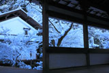 渡廊越しの雪の西明寺庭園