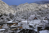 梅ケ畑 雪景色の槙ノ尾