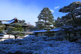 雪化粧の松と仁和寺勅使門