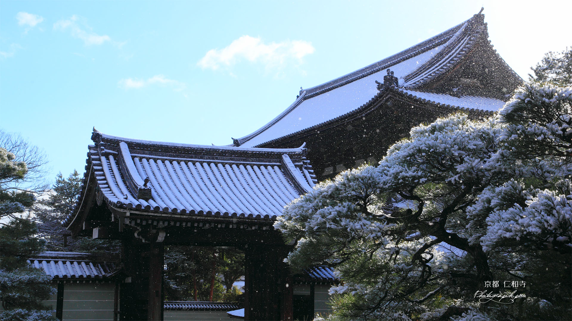仁和寺 雪降る本坊表門と仁王門