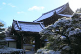 仁和寺 雪降る本坊表門と仁王門