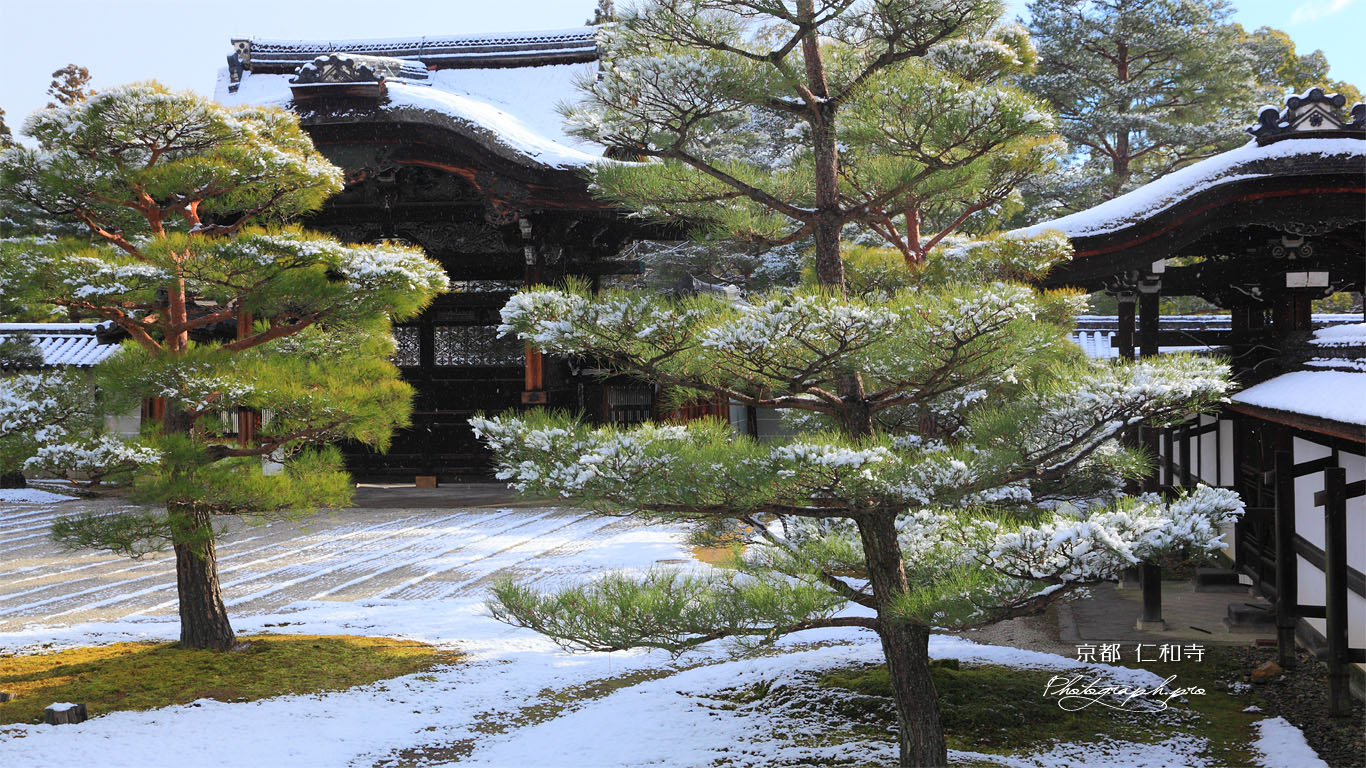 仁和寺 雪の勅使門と皇族門 壁紙