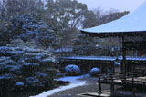 仁和寺 雪舞う宸殿と北庭