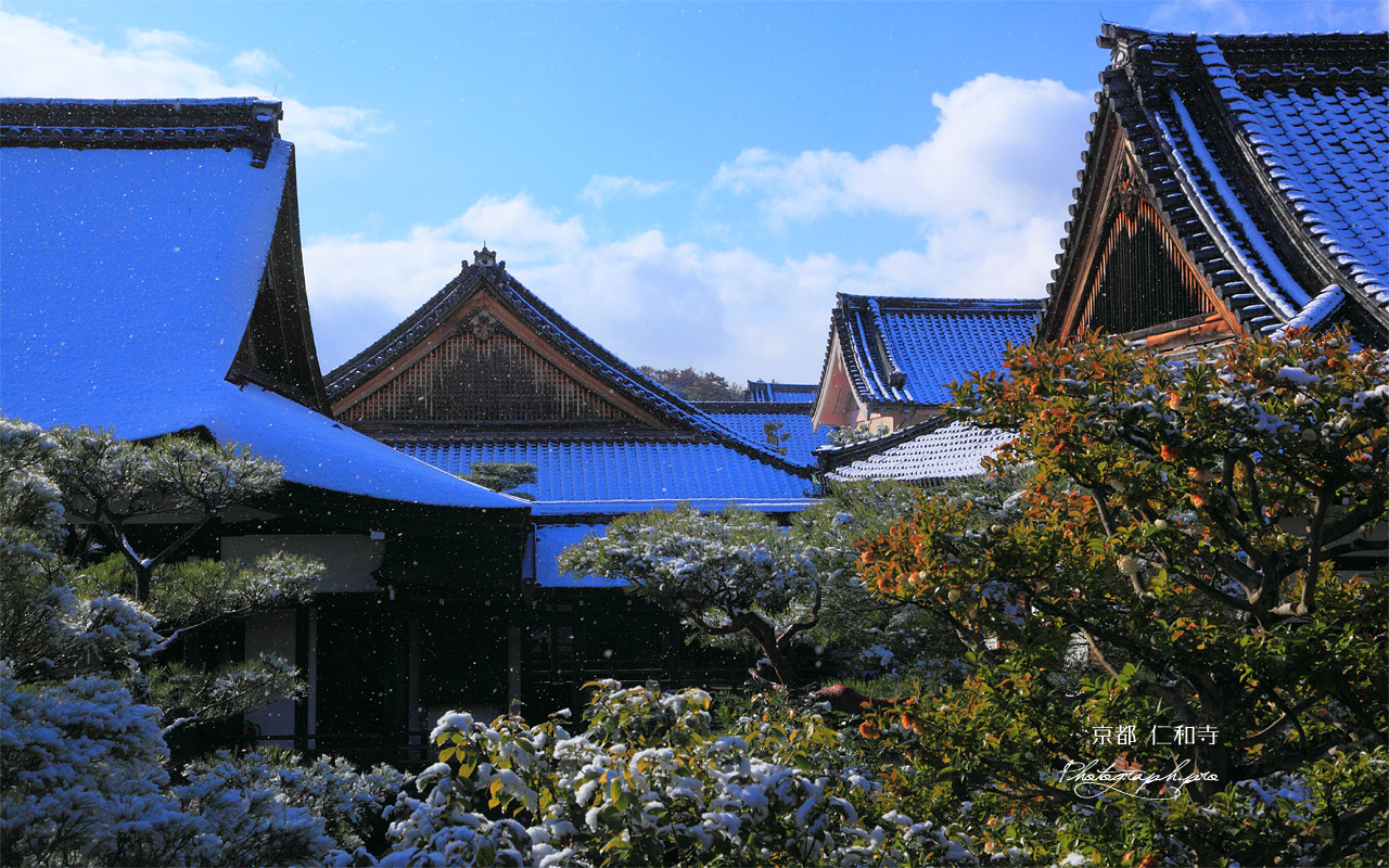 雪の仁和寺御殿 壁紙